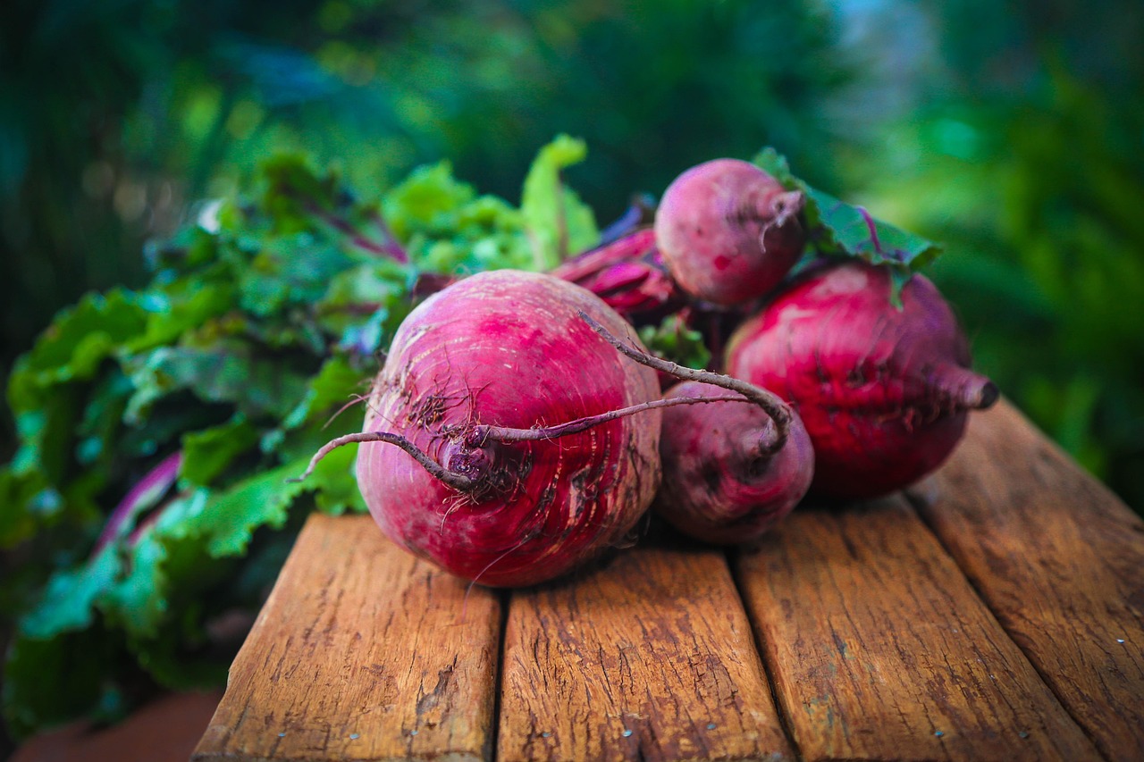 The Autoimmune Protocol (AIP) Diet: A Complete Guide to Foods, Phases & Healing